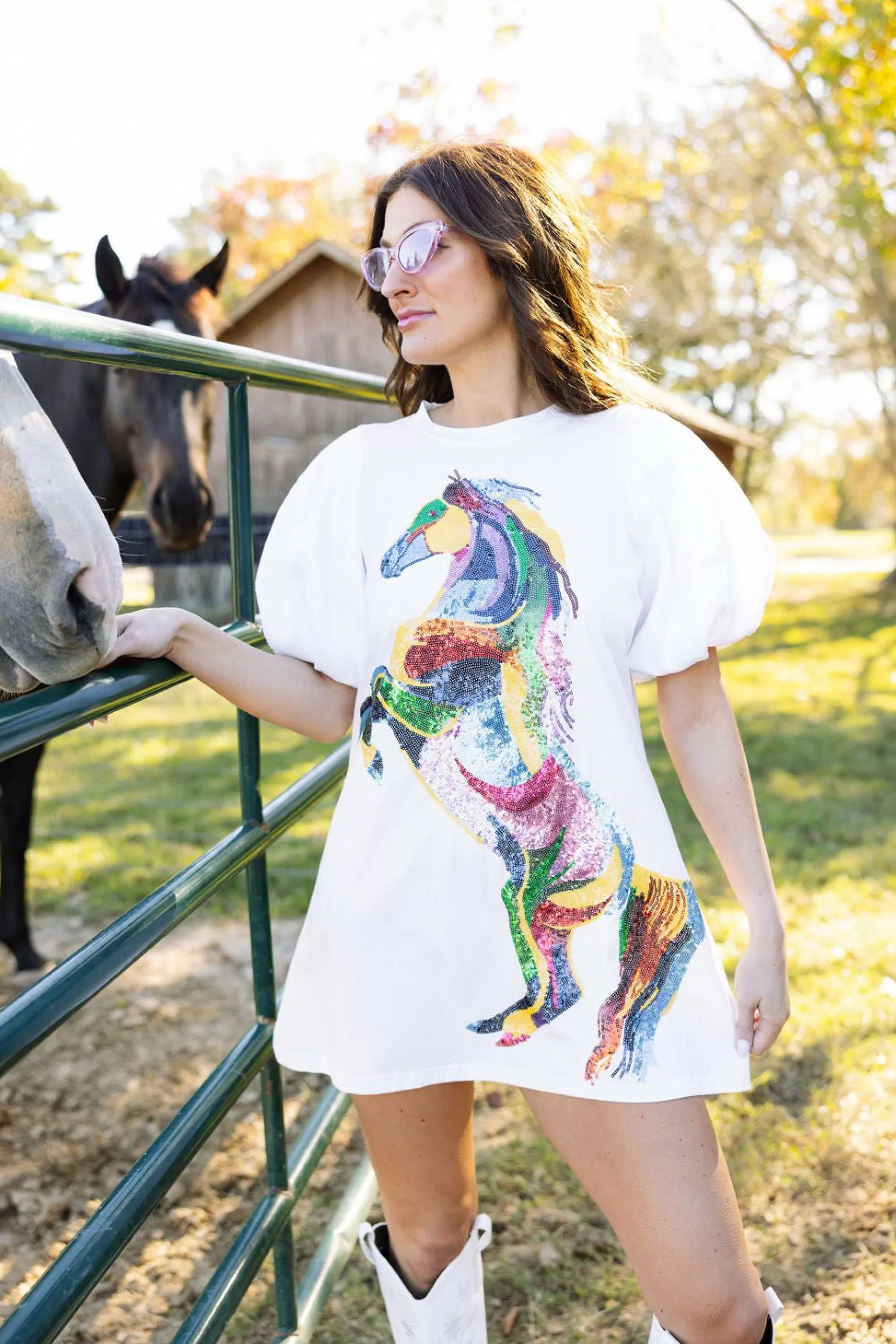 womens Queen Of Sparkles Sequin Poof Sleeve Rainbow Horse Dress